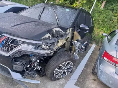 2021 Kia Carnival KNANB81BBMS028316 VIN:KNANB81BBMS028316