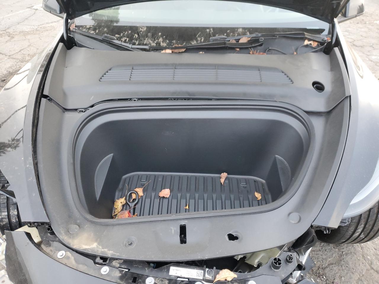 2024 TESLA MODEL Y  VIN:7SAYGDED8RF094440