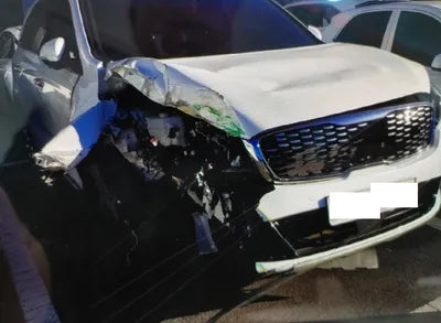 2019 Kia Sorento KNAPK81BBKA548471 VIN:KNAPK81BBKA548471