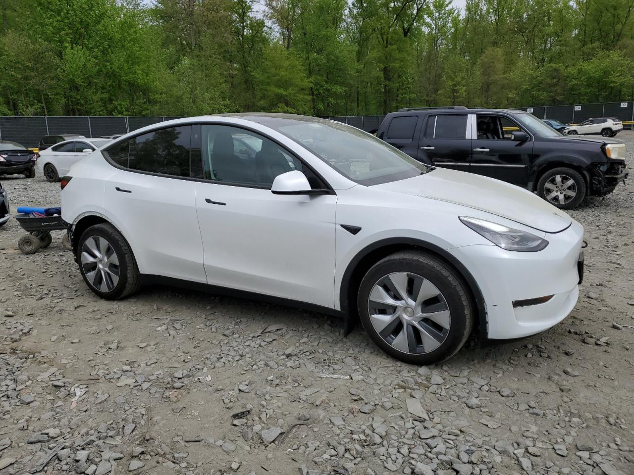 2023 TESLA MODEL Y  VIN:7SAYGDEE9PA103777