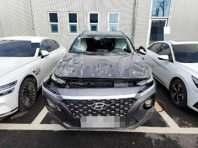 2020 Hyundai Santa FE KMHS381BDLU264845 VIN:KMHS381BDLU264845