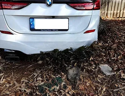 2021 BMW 235 WBA11AL03M7J39410 VIN:WBA11AL03M7J39410