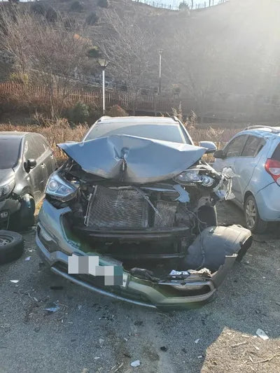 2017 Hyundai Santa FE KMHSW81UBHU765008 VIN:KMHSW81UBHU765008