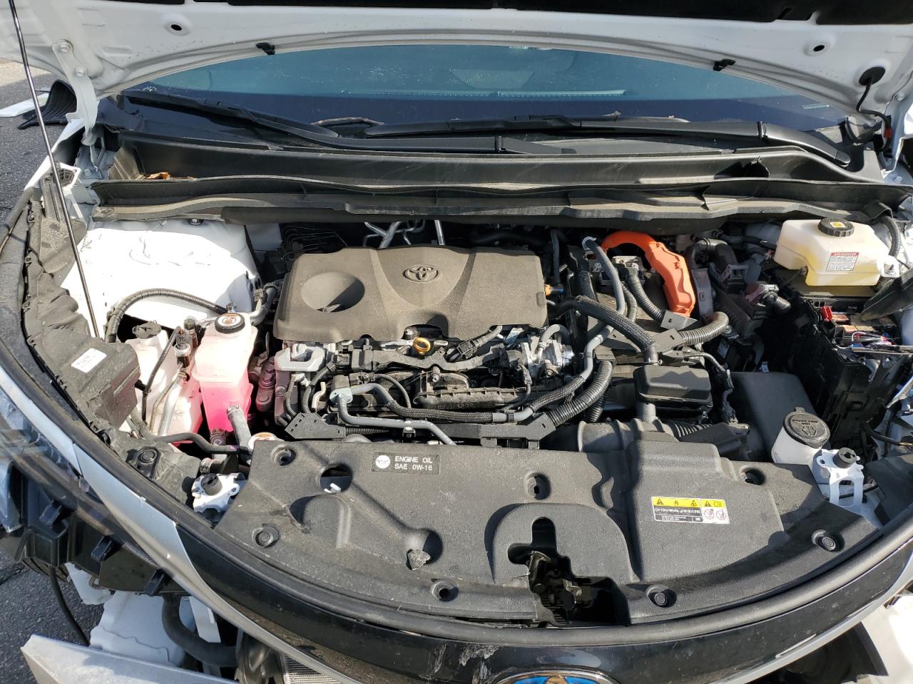 2023 TOYOTA SIENNA XSE VIN:5TDDSKFCXPS091844