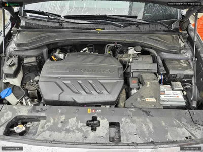 2019 Hyundai Santa FE KMHS381BDLU201079 VIN:KMHS381BDLU201079