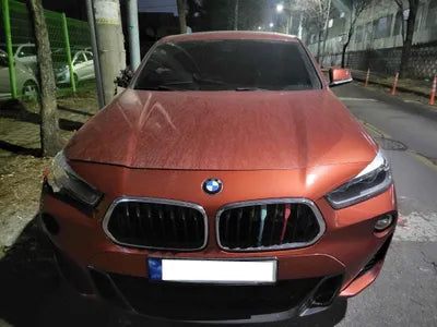 2019 BMW X2 WBAYL1106JEA95666 VIN:WBAYL1106JEA95666