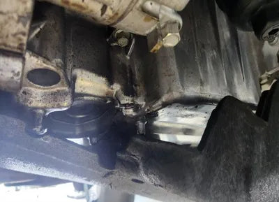 2021 Hyundai Santa FE KMHS381HHMU325003 VIN:KMHS381HHMU325003