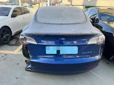 2020 Tesla Model 3 5YJ3E1EB7LF808981 VIN:5YJ3E1EB7LF808981