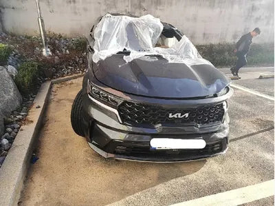2023 Kia Sorento KNARL81GBPA179984 VIN:KNARL81GBPA179984
