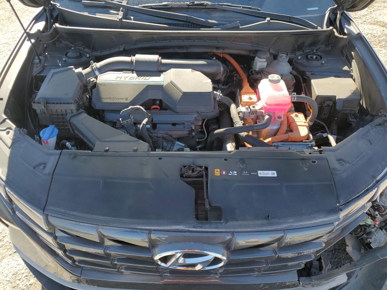 2023 HYUNDAI TUCSON BLUE VIN:KM8JBCA19PU085989