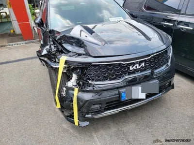 2022 Kia Sorento KNARL81GBNA105043 VIN:KNARL81GBNA105043