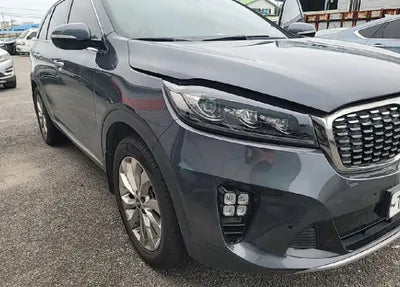 2019 Kia Sorento KNAPK81BDKA497075 VIN:KNAPK81BDKA497075
