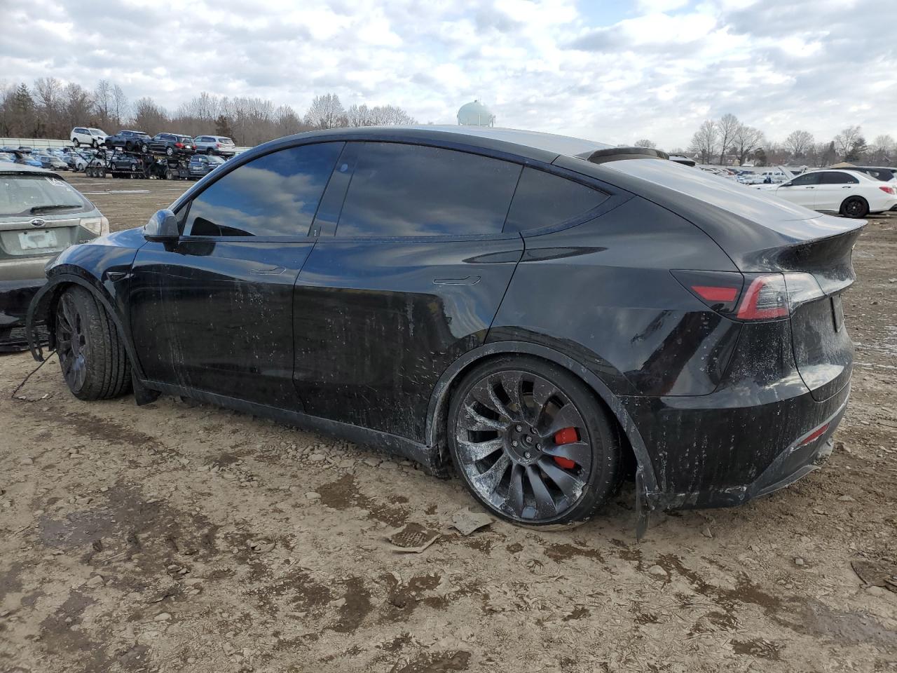 2023 TESLA MODEL Y  VIN:7SAYGDEF4PF834497
