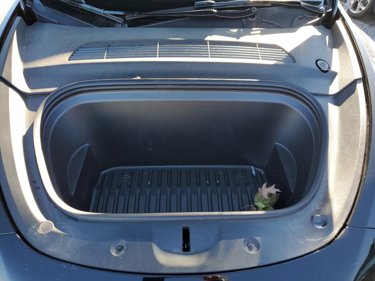 2024 TESLA MODEL Y  VIN:7SAYGDEE0RA229867
