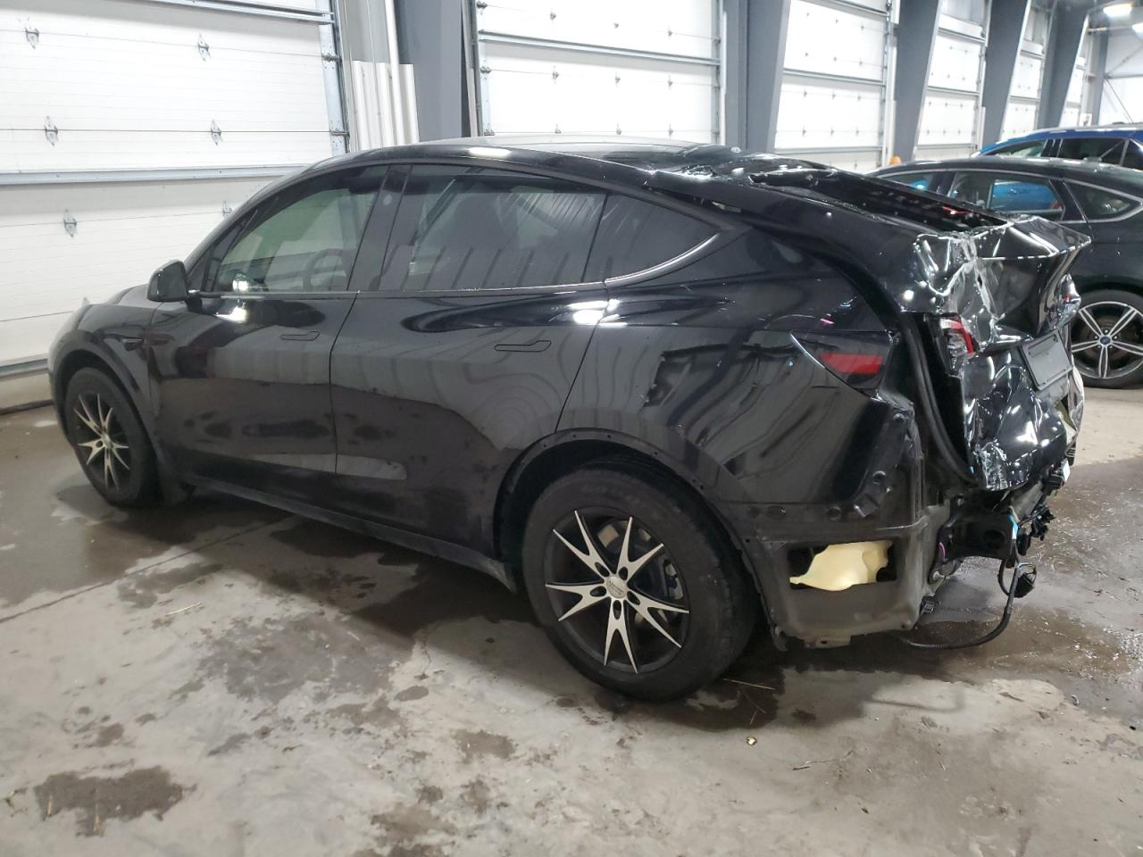 2023 TESLA MODEL Y  VIN:7SAYGDEE8PA161640