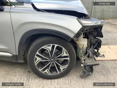 2019 Hyundai Santa FE KMHS381BDLU244867 VIN:KMHS381BDLU244867