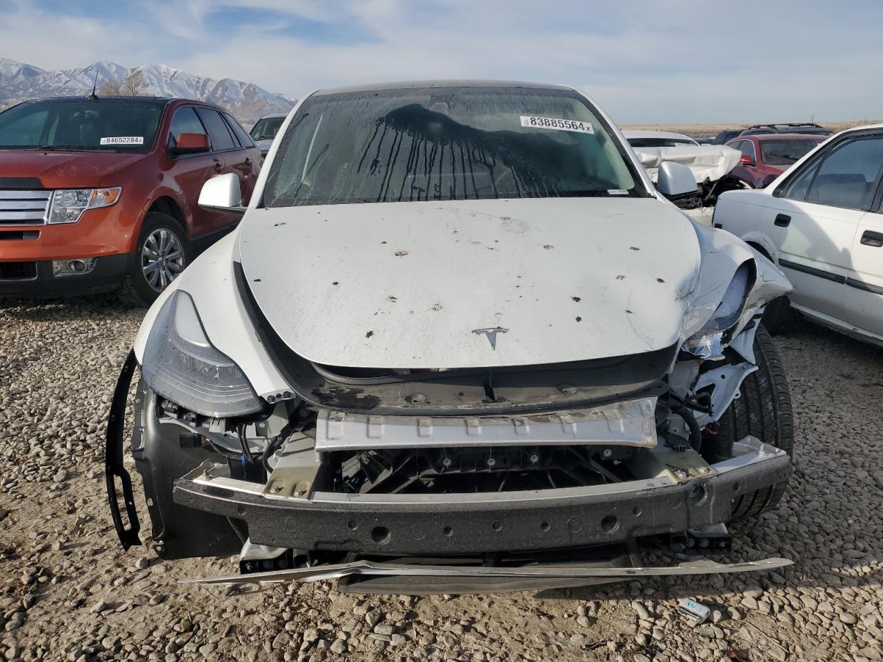 2024 TESLA MODEL Y  VIN:7SAYGDEE8RF089117