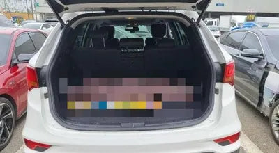 2016 Hyundai Santa FE 487KMKMHSW81UBGU6 VIN:487KMKMHSW81UBGU6