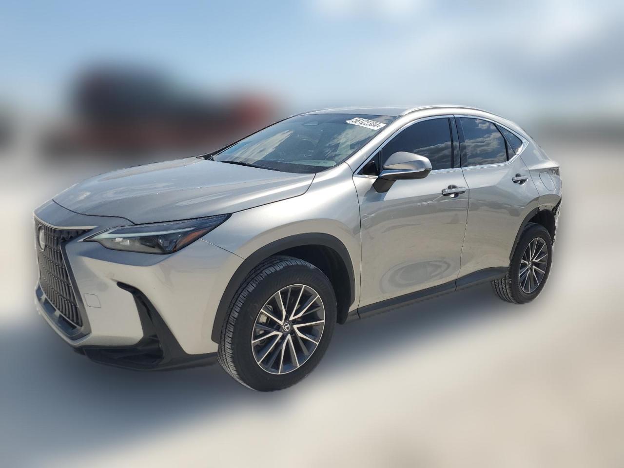 2024 LEXUS NX 250 BASE VIN:2T2ADCAZ5RC009007