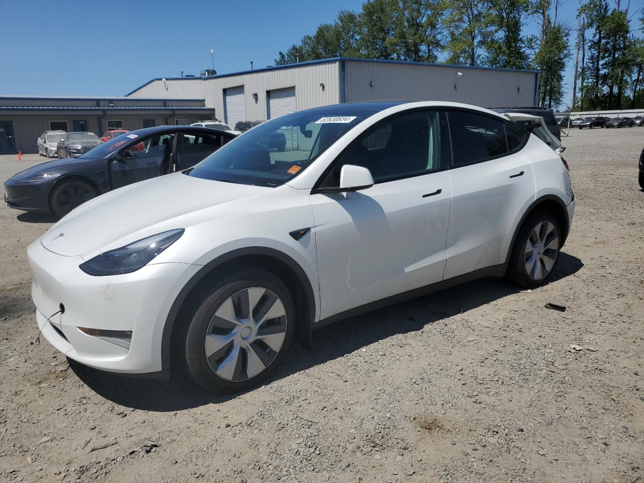 2023 TESLA MODEL Y  VIN:7SAYGDEE8PF764543