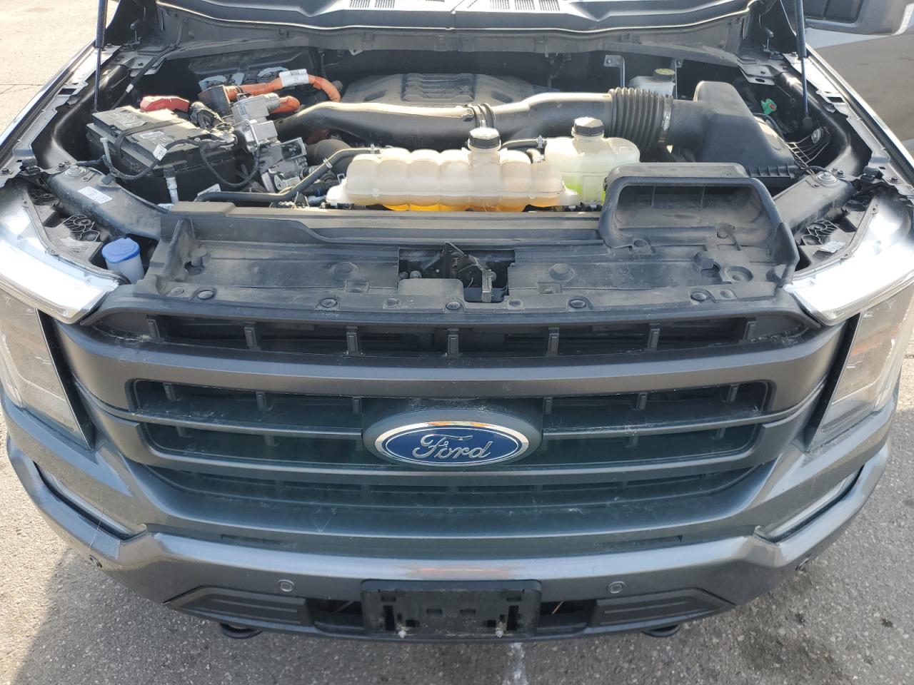 2023 FORD F150 SUPERCREW VIN:1FTFW1ED9PFA89164