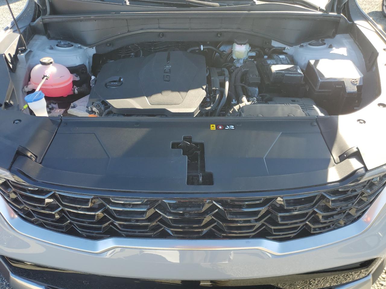 2024 KIA SORENTO S VIN:5XYRLDJC5RG287678