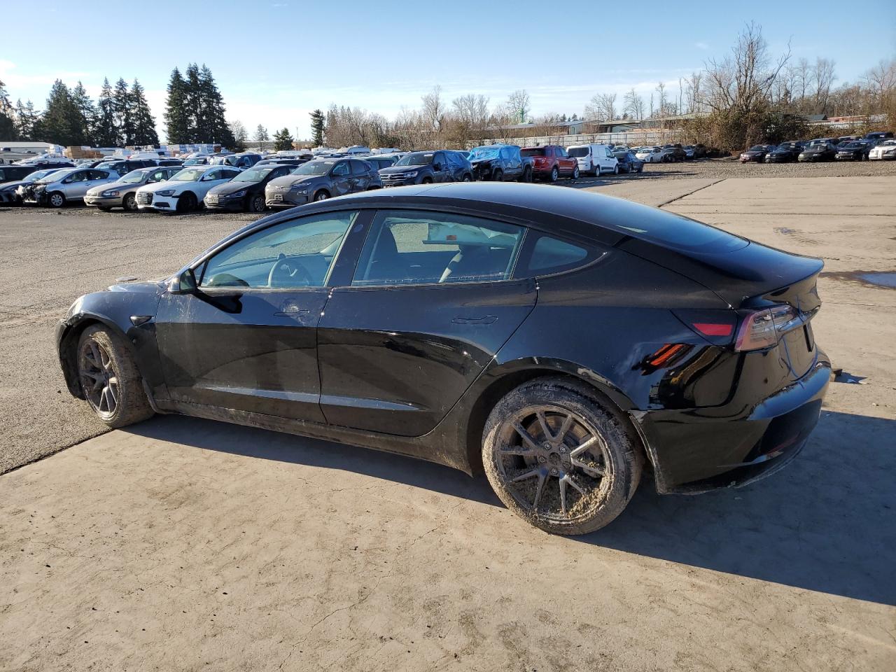 2023 TESLA MODEL 3  VIN:5YJ3E1EA3PF397737