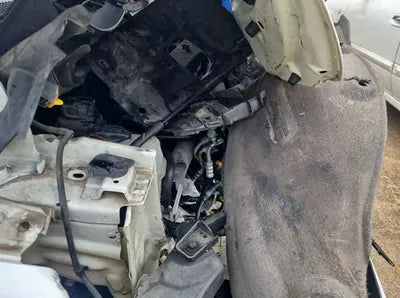 2017 Kia Carnival KNAMB81ABHS247253 VIN:KNAMB81ABHS247253