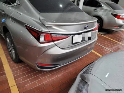 2018 Lexus ES 300 JTHB21B19K2009381 VIN:JTHB21B19K2009381