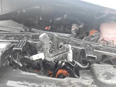 2023 Kia Sorento KNARL81GBPA160134 VIN:KNARL81GBPA160134