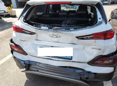 2020 Hyundai Kona KMHK281GFLU113448 VIN:KMHK281GFLU113448