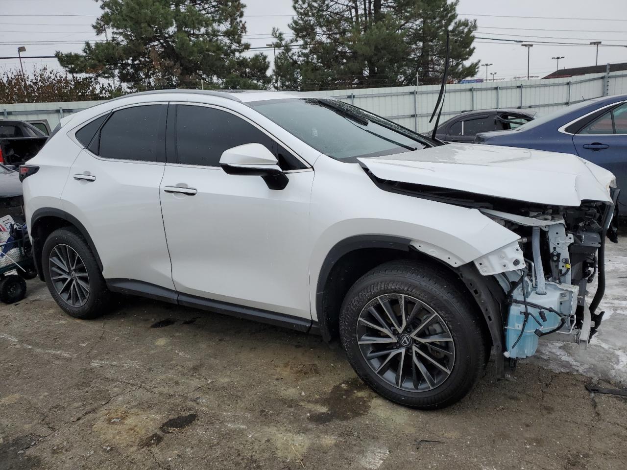 2024 LEXUS NX 250 BASE VIN:2T2ADCAZ6RC010487