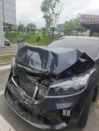 2019 Kia Sorento KNAPS81BBKA508210 VIN:KNAPS81BBKA508210