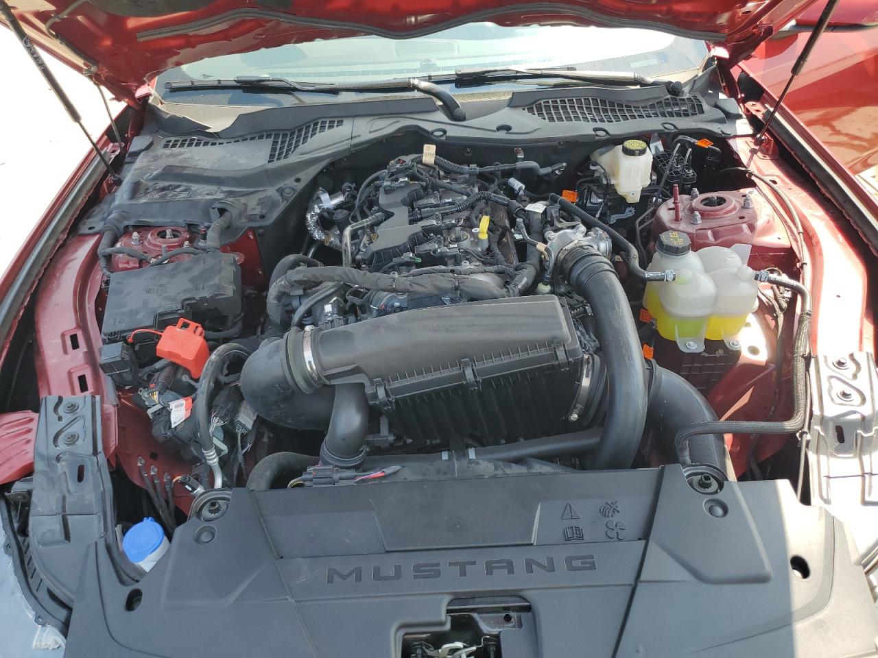 2024 FORD MUSTANG  VIN:1FA6P8TH6R5113737