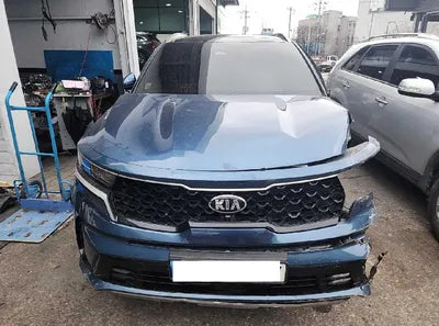2021 Kia Sorento KNARH81GDMA027216 VIN:KNARH81GDMA027216