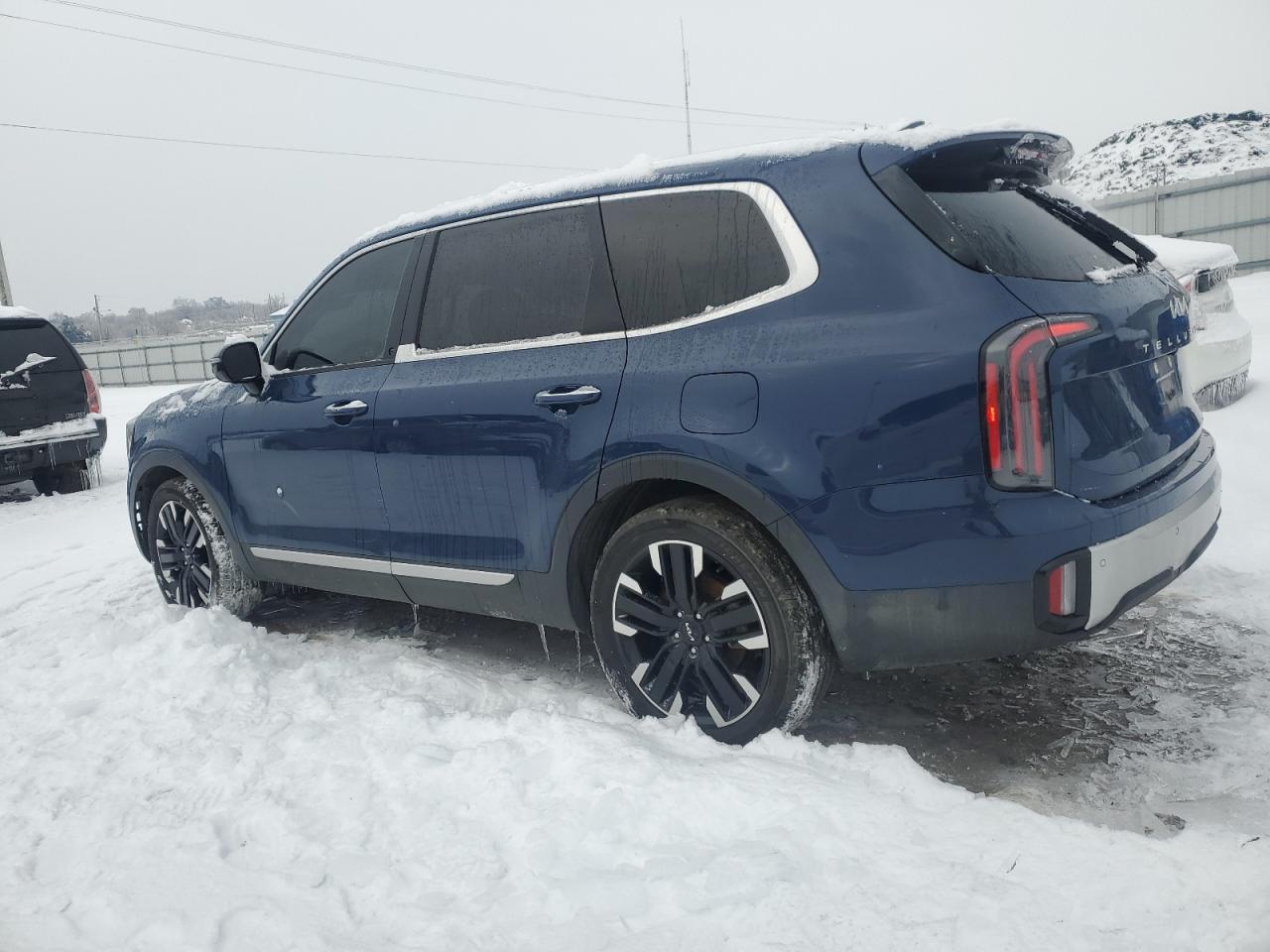2024 KIA TELLURIDE SX VIN:5XYP5DGC9RG419754