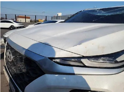 2019 Hyundai Santa FE KMHS281BBKU177128 VIN:KMHS281BBKU177128