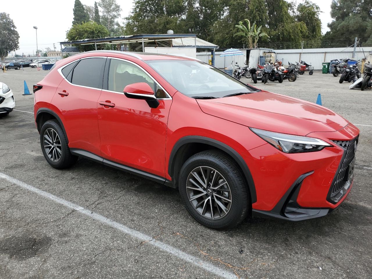 2024 LEXUS NX 250 BASE VIN:JTJADCAZ3R2009717