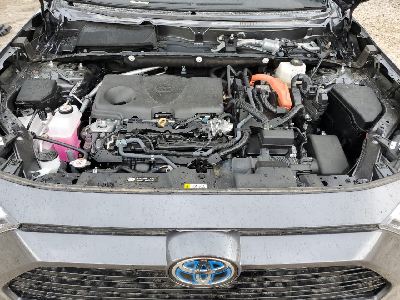 2023 TOYOTA RAV4 SE VIN:4T3T6RFVXPU132837