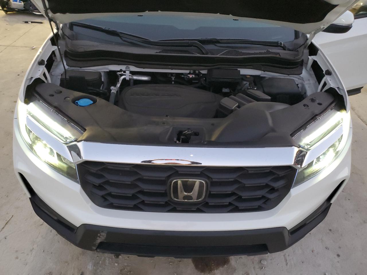 2023 HONDA PASSPORT EXL VIN:5FNYF8H54PB009876