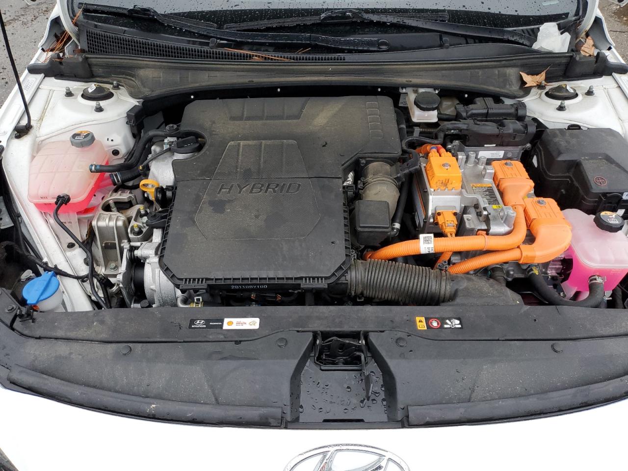 2022 HYUNDAI ELANTRA LIMITED VIN:KMHLN4AJ6NU024196