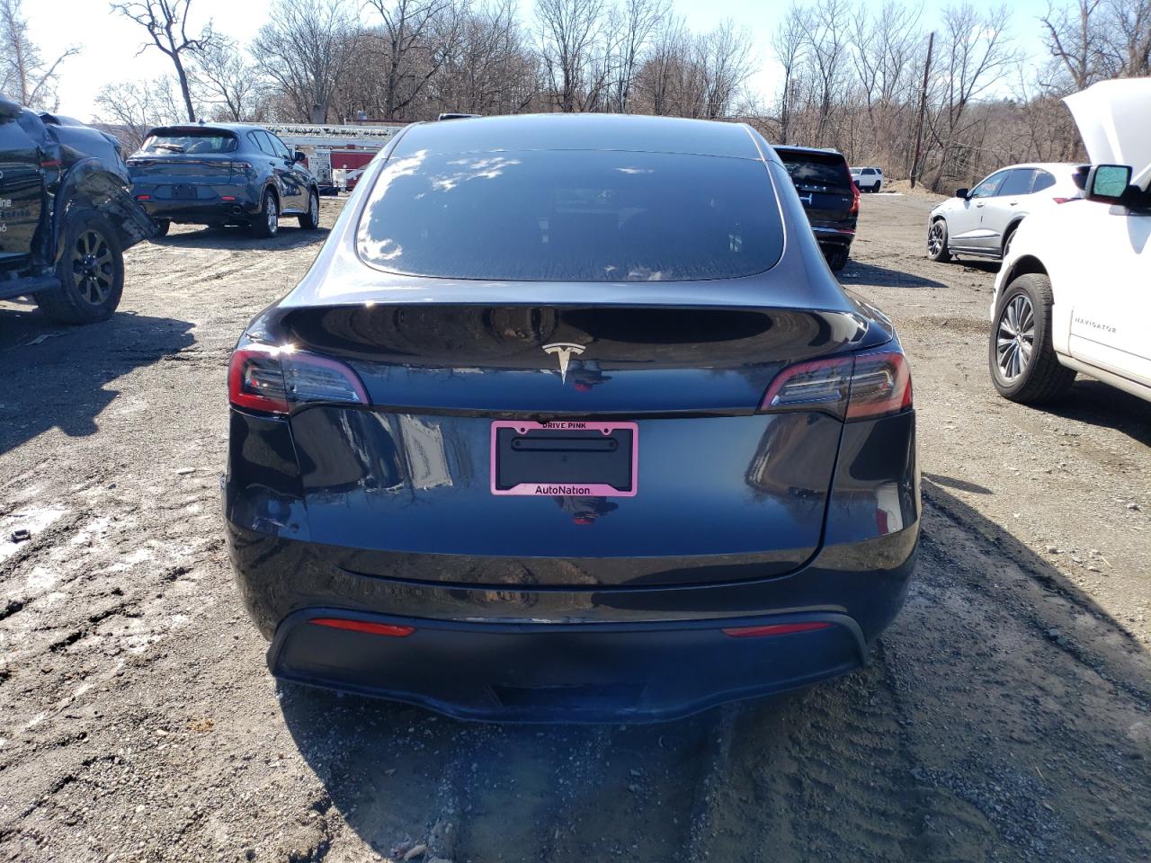 2024 TESLA MODEL Y  VIN:7SAYGDED3RF114643