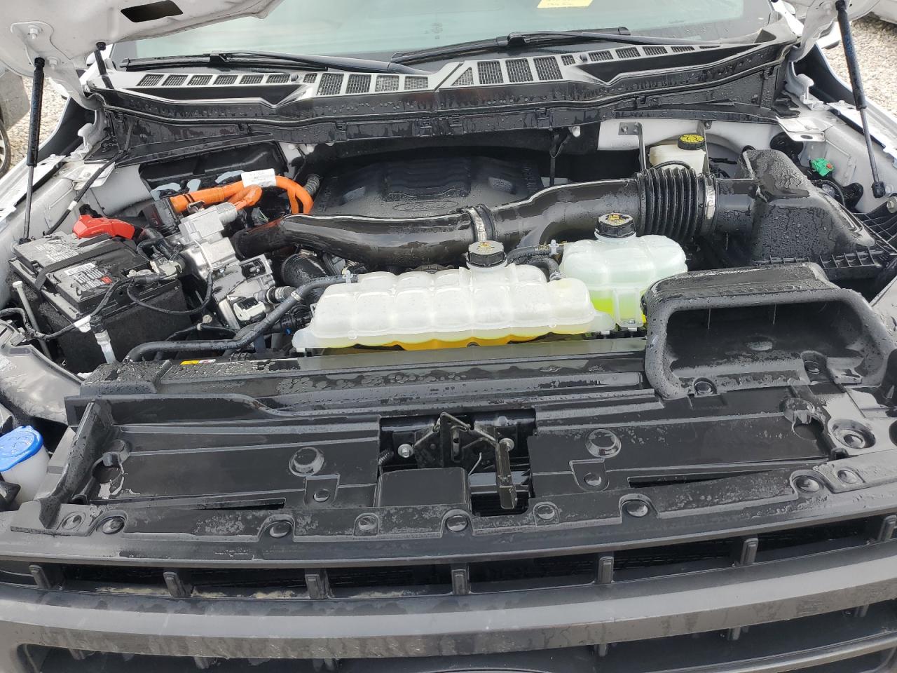 2023 FORD F150 SUPERCREW VIN:1FTFW1ED9PFD27899