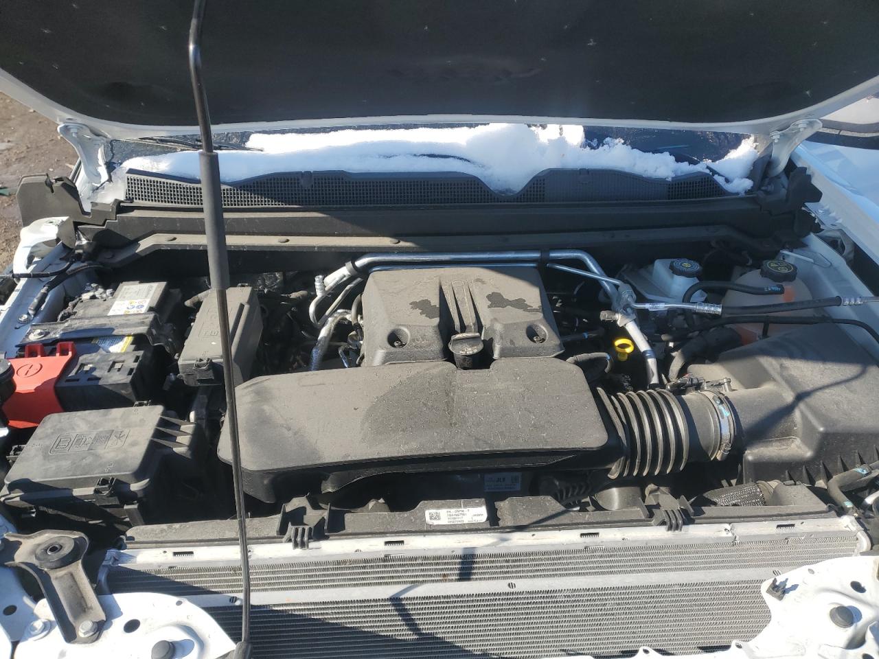 2023 CHEVROLET COLORADO LT VIN:1GCPTCEKXP1240016