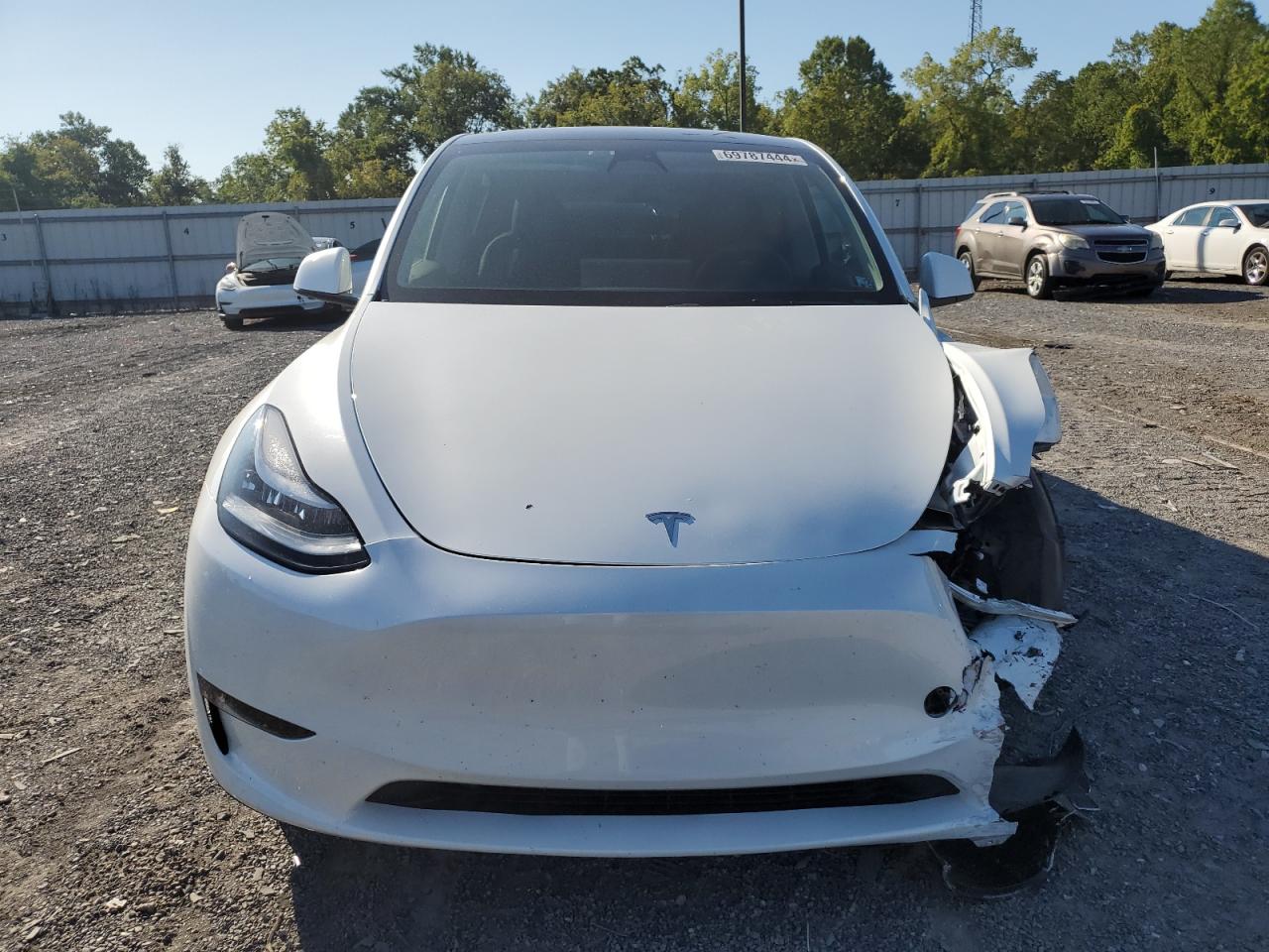 2023 TESLA MODEL Y  VIN:7SAYGDEEXPA105845