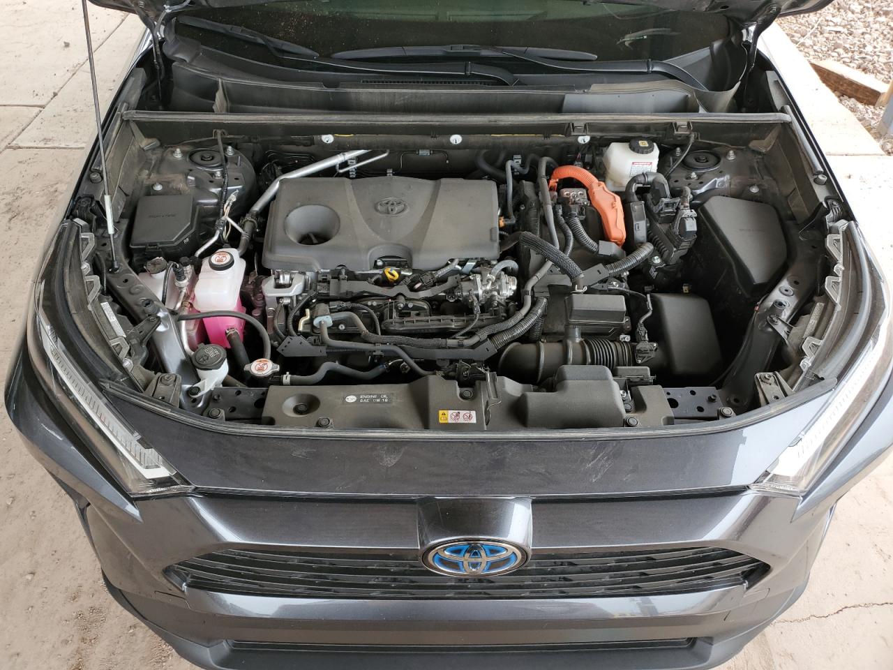 2023 TOYOTA RAV4 XLE VIN:JTMRWRFV7PD182098