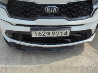 2021 Kia Sorento KNARL81BGMA079110 VIN:KNARL81BGMA079110