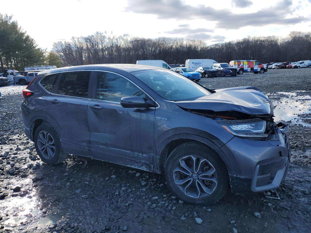 2022 HONDA CR-V EXL VIN:5J6RT6H81NL008393