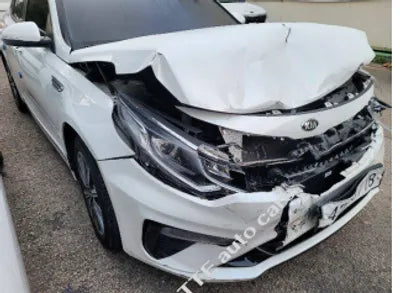 2019 Kia K5 KNAGT416BLA378556 VIN:KNAGT416BLA378556