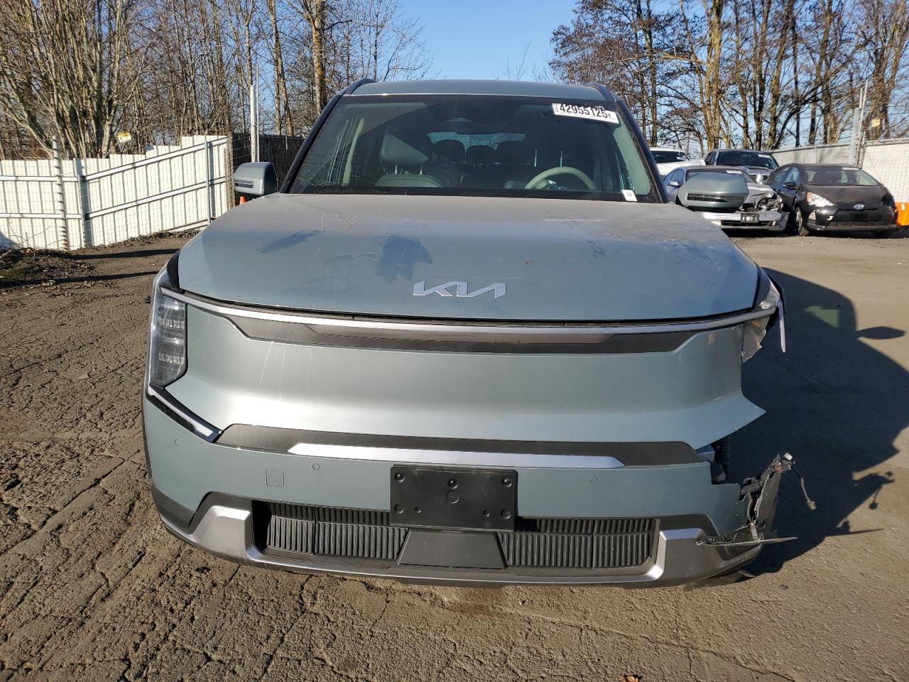 2024 KIA EV9 WIND VIN:KNDAFFS53R6044485
